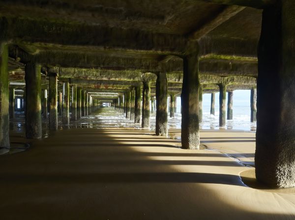 Cost of Pier And Beam Leveling in Flagstaff